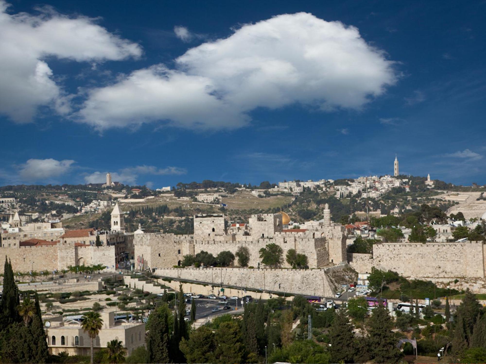 King David